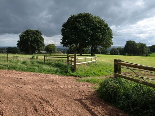 Photo 6x4 trees near tetton - photo,