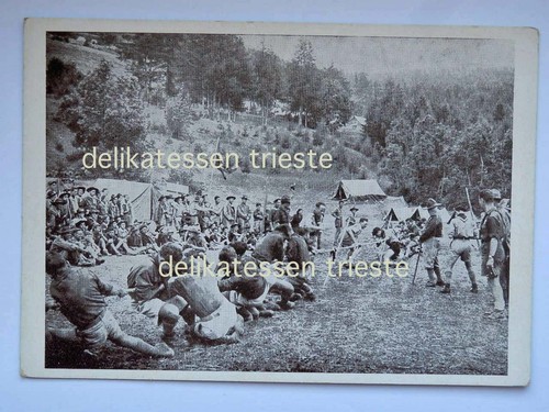 Trieste boy scout scautismo - scout,