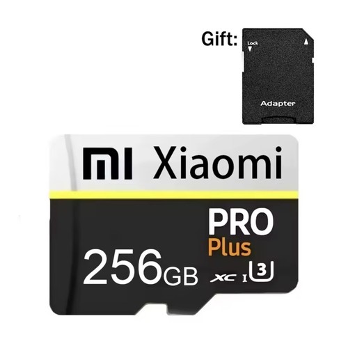 Micro card 256 classe 10 - 256,