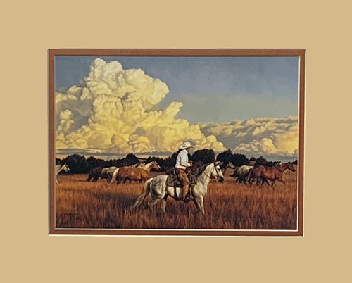Tim cox storm - tim, clouds