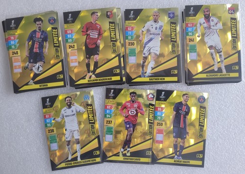 2024 panini adrenalyn xl - 2024-25,