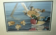 STEVE LEONARDI #615 LITOGRAFIA