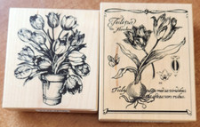 2 PSX Rubber Stamp BOTANICA