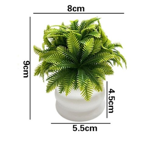 Pianta vaso con - vaso, di