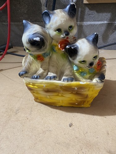 Salvadanaio con gattini - i,