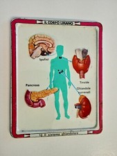 FIGURINE IN METALLO VINTAGE IL CORPO UMANO CORRIERE DEI PICCOLI  ANNI '60