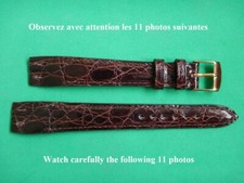 16 MM Coccodrillo Autentico