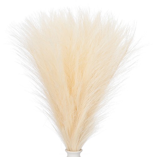 Erba pampas decor 30pci - pampas,
