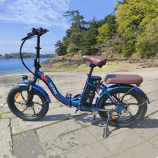 Fafrees Bicicletta Elettrica Trekking eBike 20 Pollici 250W Mountain Bike Pedelec Citybike