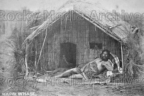 Eww maori house - eww-30,
