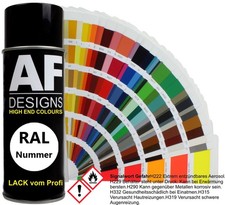 Spray vernice RAL vernice auto