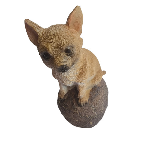 Chihuahua marrone cani - chihuahua,