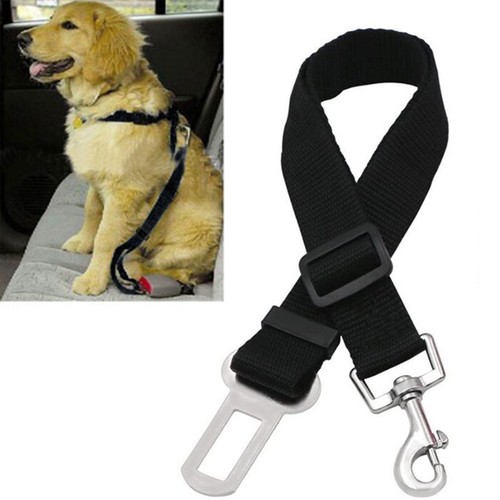Cintura sicurezza per - di, cane