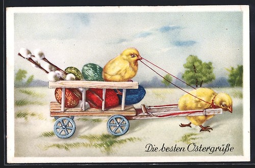 Cartolina pulcini pasqua - cartolina, di
