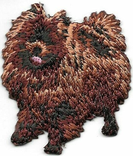 Toppa spitz tedesca marrone - toppa,