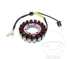 Statore alternatore per Arctic