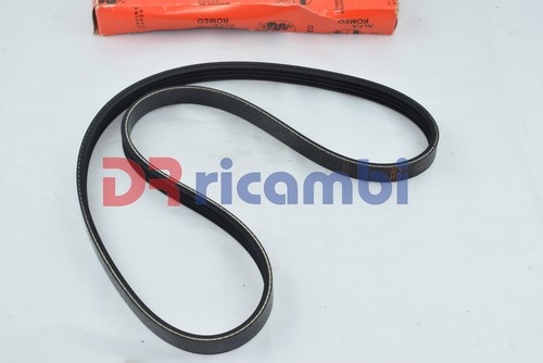 Cinghia poly gole alfa - poly,
