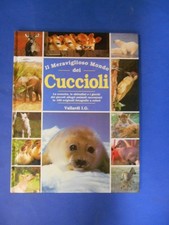 meraviglioso mondo dei