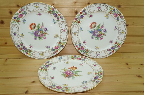 Hammersley dresden spray - dresden,