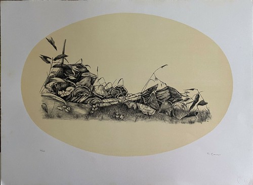 Alessandra cancogni litografia - alessandra,