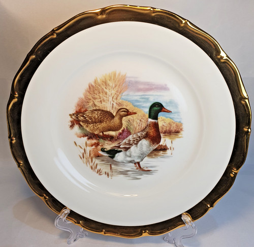 Bone china plate - bone,