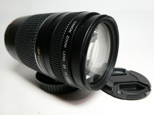 Canon 300 5 - 75-300, iii
