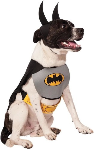 Costume batman dog taglia - costume,