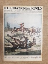 Copertina Illustrazione del