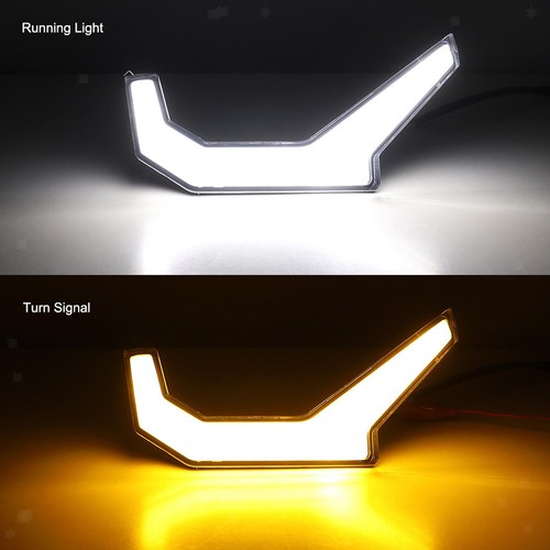 Fang lights fornisce - lights,