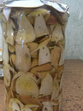  ANTIPASTO  CONTORNO FUNGHI