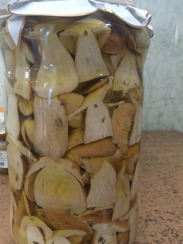 Antipasto contorno funghi - antipasto,