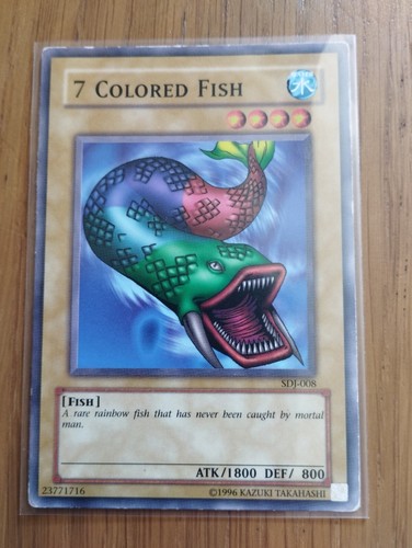 Carta 7 colored fish - carta,