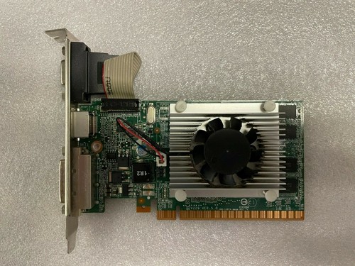 Dell nvidia 405 512mb - nvidia, vga