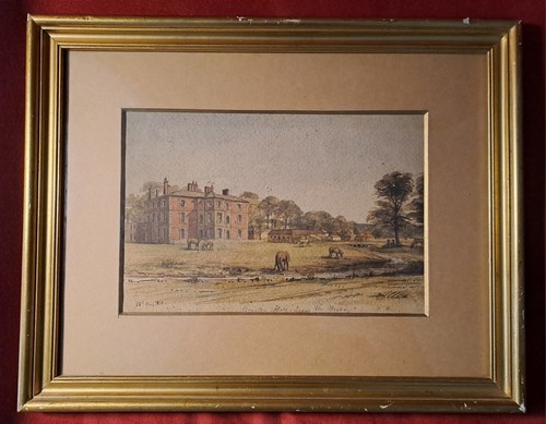 Quadro antico acquerello - quadro,