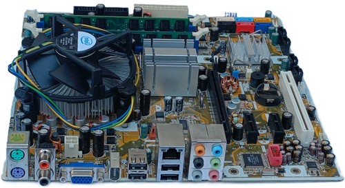 Scheda madre asus - scheda, hp