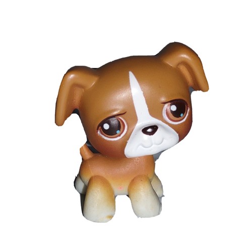Littlest pet shop - littlest, boxer
