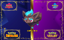 Pokemon Zorua - Zorua SHINY 6 IV-31 Ecarlate-Violet/Bouclier-Epée