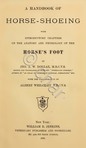 Mascalcia maniscalco horse - mascalcia,