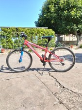 bicicletta Ragazzo mountain Bike 