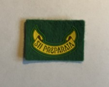 CNGEI Scout Distintivo Di