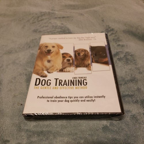 Dog training gentle - dog, training: