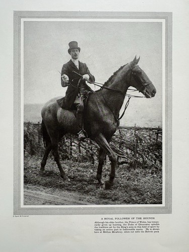 Belvoir caccia principe - principe, enrico