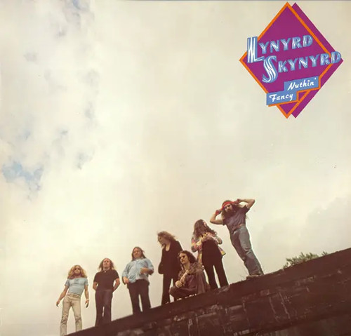 Lynyrd skynyrd nuthin fancy - skynyrd,