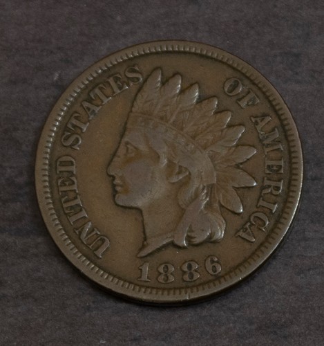 1886 tipo testa indiano - 1886,