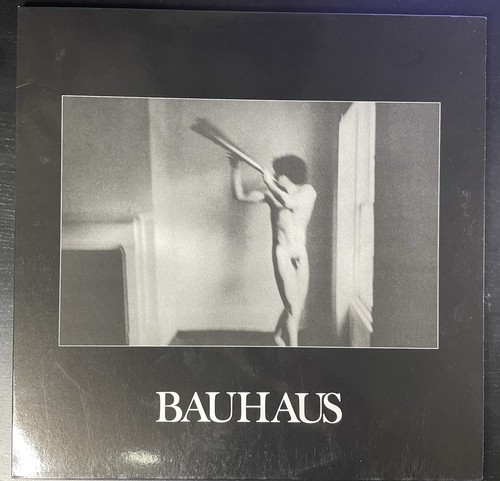 Bauhaus the flat field - the,