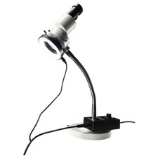 10X Microscopio binoculare