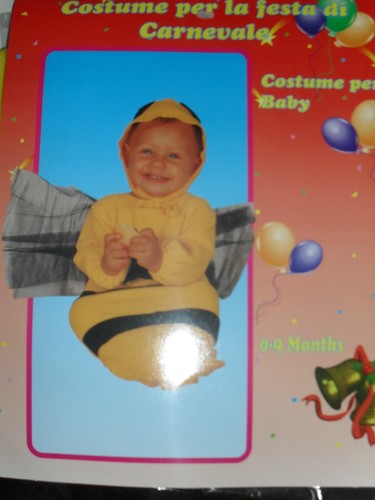 Offerta ape insetto - offerta,