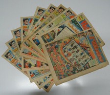 Vittorioso lotto anno - il,