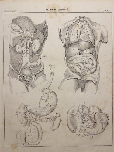 Litografia antica 1833 - antica,