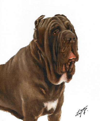 Dipinto ritratto olio - ✤,